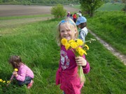 Pleteme věnečky z pampelišek